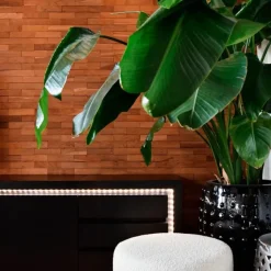 Straluma Calex Smart LED strip RGB + CCT 5 meter><noscript><img width=