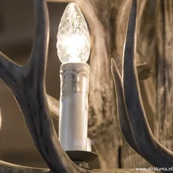 Straluma Grote 12-lichts kroonluchter met geweien><noscript><img width=