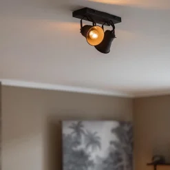 Straluma Industriële 2-lichts plafondspot mat zwart><noscript><img width=