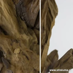 Straluma Light & Living lampvoet hout + zwart><noscript><img width=