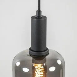 Straluma Light and Living hanglamp Lekar zwart met smoke glas klein><noscript><img width=
