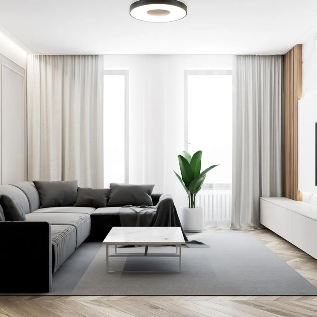 Straluma Plafondlamp Coin 65 zwart + remote> Plafondlampen|Plafonnières