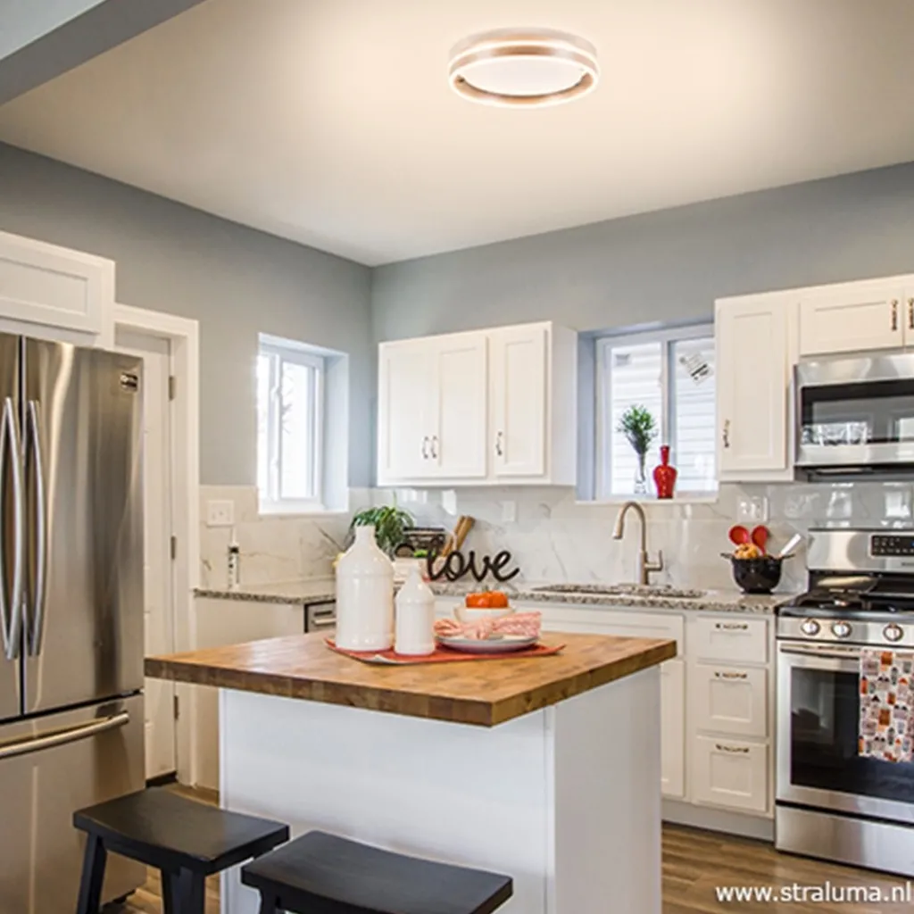 Straluma Plafondlamp Led Cirkel rvs 40cm> Plafondlampen|Plafonnières