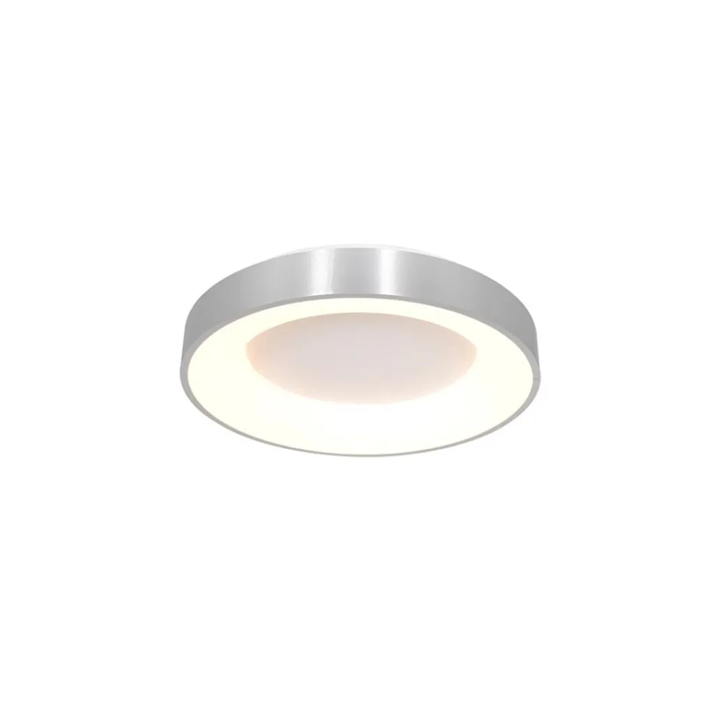 Straluma Plafondlamp Ringlede 30cm rvs led> Plafondlampen|Plafonnières