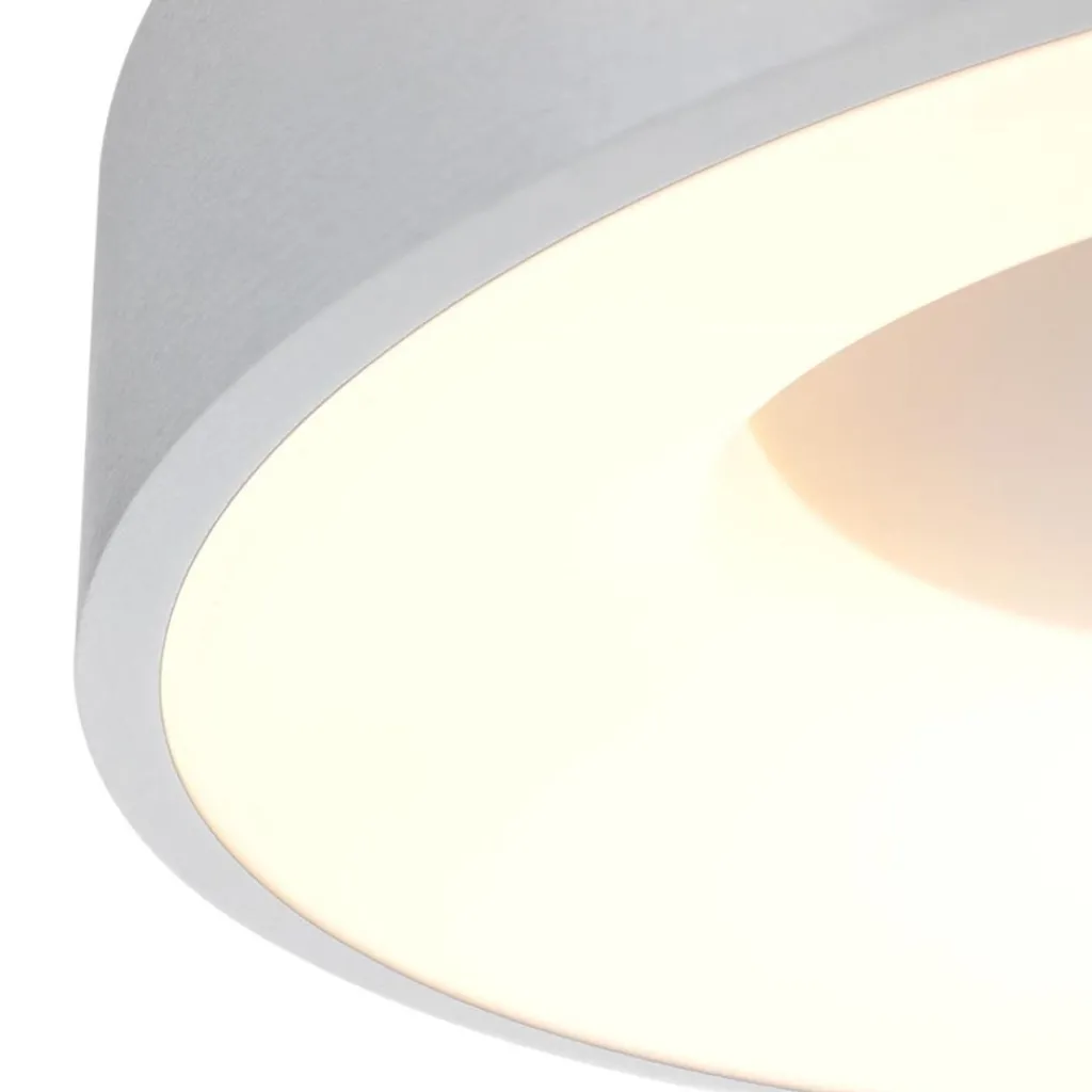 Straluma Plafondlamp Ringlede 30cm rvs led> Plafondlampen|Plafonnières