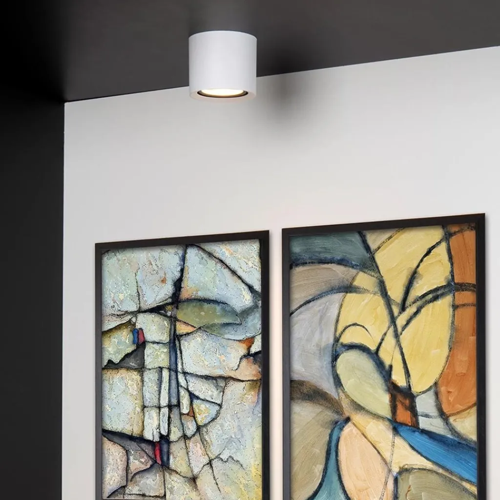 Straluma Plafondspot cilinder wit dim to warm> Plafondlampen|Opbouwspots