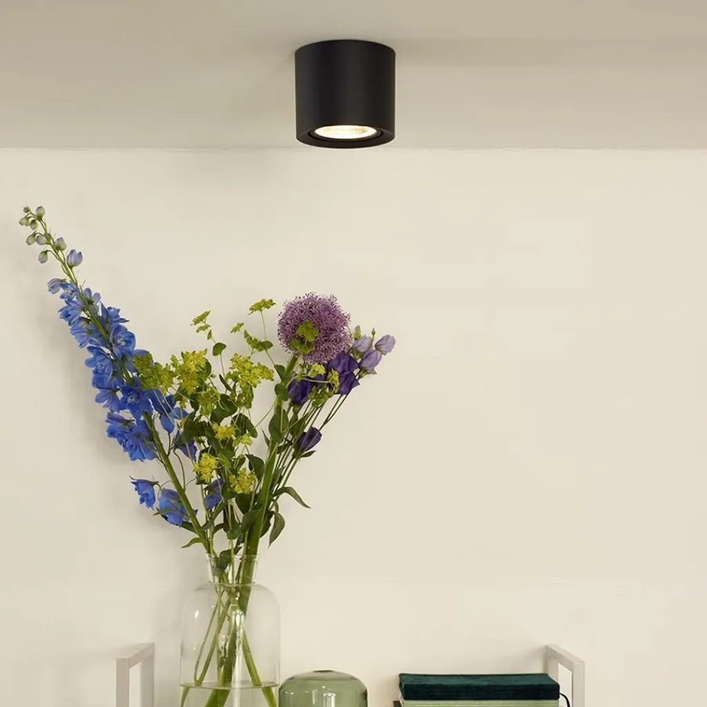 Straluma Plafondspot cilinder zwart gu10-111 dim to warm> Plafondlampen|Opbouwspots