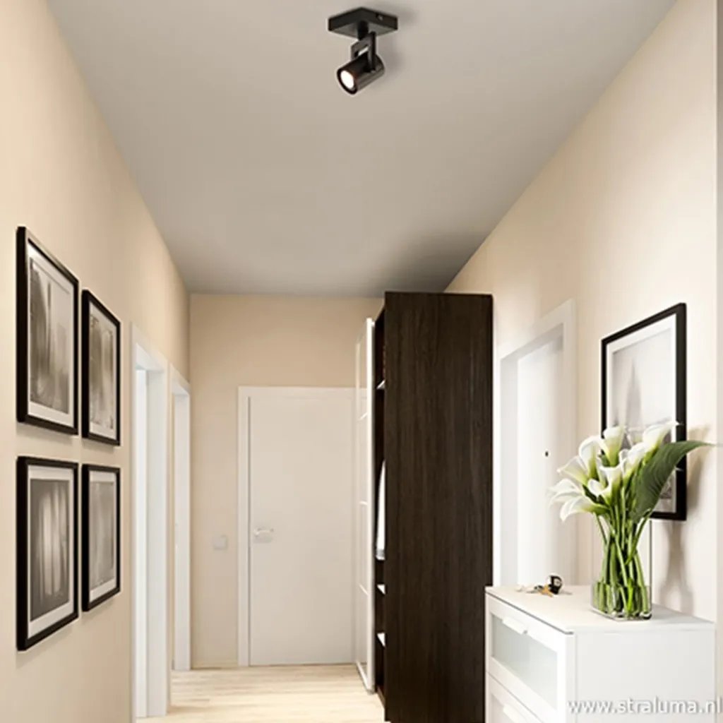 Straluma Plafondspot 1L zwart incl.gu10> Plafondlampen|Opbouwspots