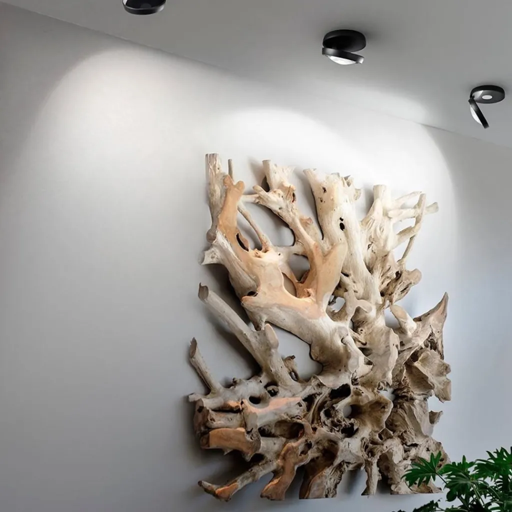 Straluma Plafondspot Nautilus zwart> Plafondlampen|Opbouwspots