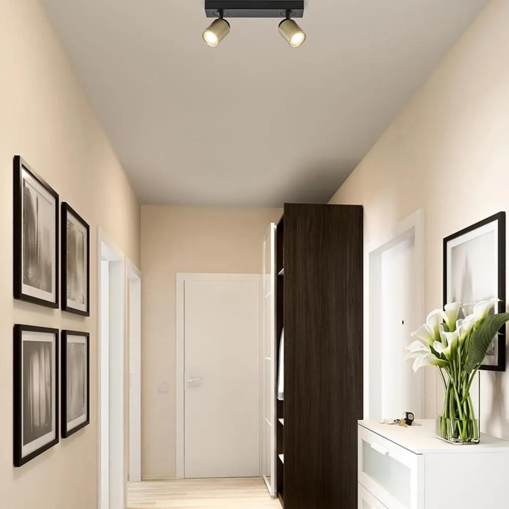 Straluma Plafondspot Razza 2L zwart/goud> Plafondlampen|Opbouwspots