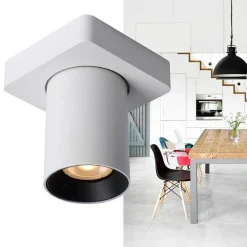 Straluma Plafondspot tube 1-L wit incl.gu10 dtw><noscript><img width=