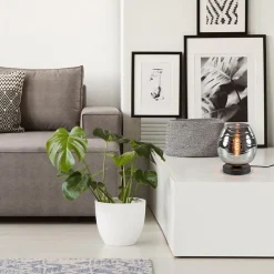 Straluma Tafellamp Fantasy laag zwart + smoke glas><noscript><img width=