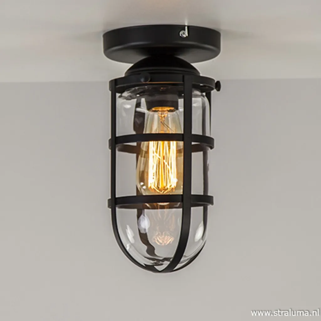 Straluma Zwarte Kooi- plafondlamp met glas> Kooilampen|Woonkamerlampen