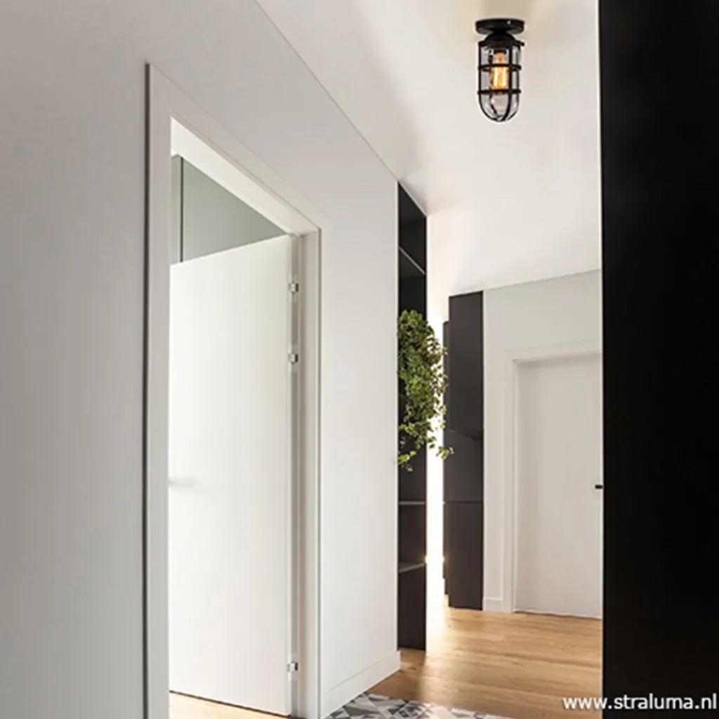 Straluma Zwarte Kooi- plafondlamp met glas> Kooilampen|Woonkamerlampen