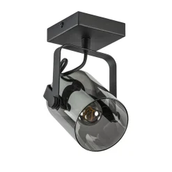 Straluma Zwarte plafond/wandlamp met titanium glas> Keukenverlichting|Plafondlampen